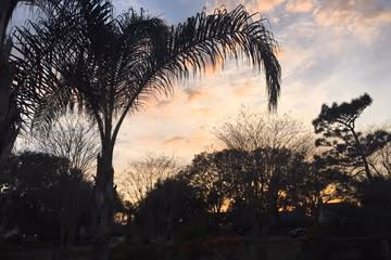 Waterford Lakes Dog Park